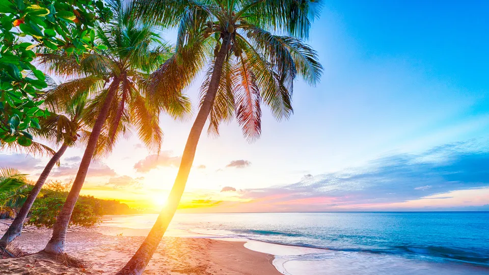 Spiaggia caraibica al tramonto