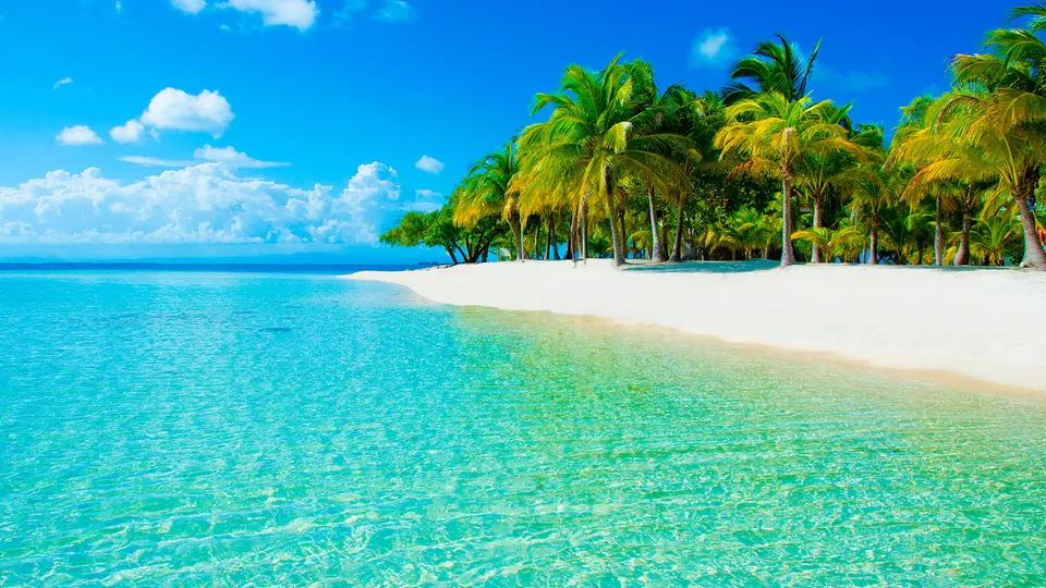 Mare cristallino e spiaggia bianche nei Caraibi