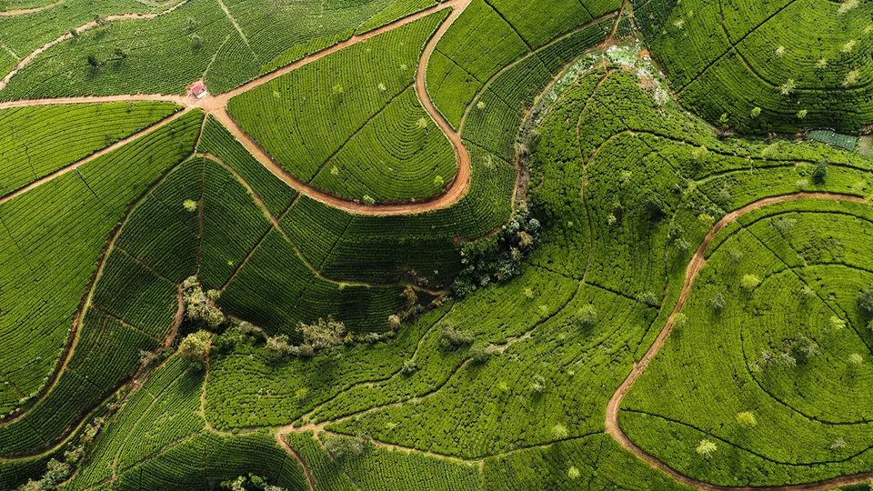Sri Lanka