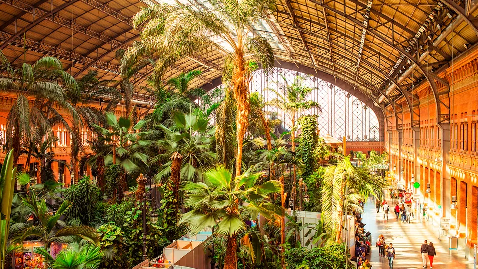 Giardini nella stazione di Atocha a Madrid