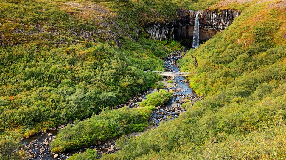 Percorso di trekking per raggiungere la cascata di Svartifoss