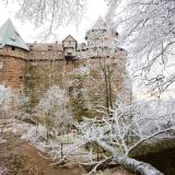 Viaggi organizzati in pullman al Castello Haut Koenigsbourg