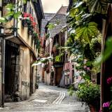 Viaggio di gruppo in pullman a colmar