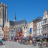 viaggio di gruppo organizzato in pullman fiandre mechelen