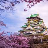 viaggio organizzato in giappone castello di osaka