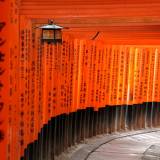 viaggio organizzato in giappone santuario di fushimi inari taisha kyoto