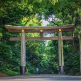 viaggio organizzato in giappone tempio di meiji jingu