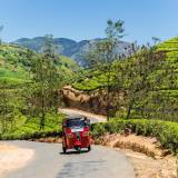 viaggio organizzato in sri lanka nuwara eliya