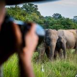 viaggio organizzato in sri lanka parco nazionale di yala