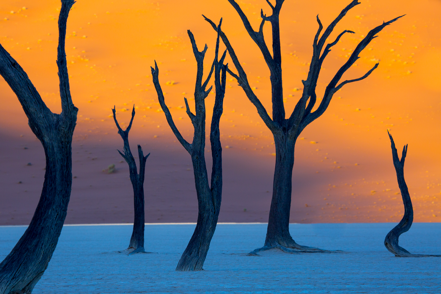 Diario di viaggio in Namibia