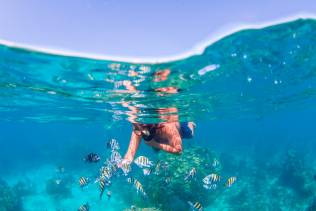 Snorkeling ai Caraibi