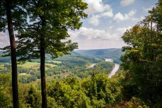 Pennsylvania forest