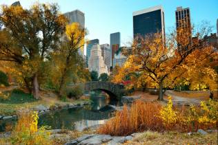 Central Park Autunno