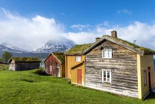 Norvegia Vecchie case tetto d'erba