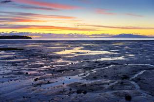 Anchorage Seashore