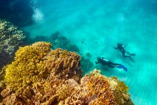 snorkeling-marsa-alam