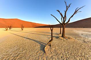 Deadvlei