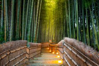 Arashiyama, foresta di bambù