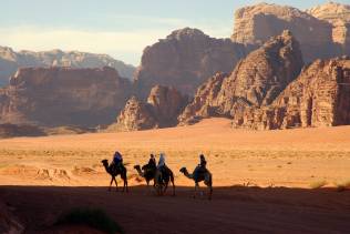 Cammelli nel Wadi Rum