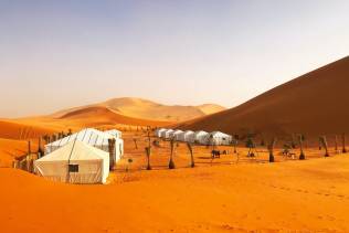 deserto sahara-campo tendato