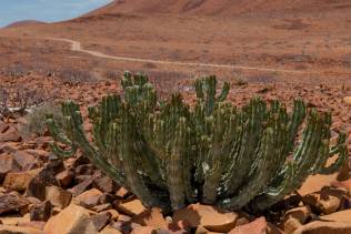 Damaraland