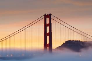 Golden gate