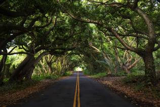 Strada per arrivare a Hana