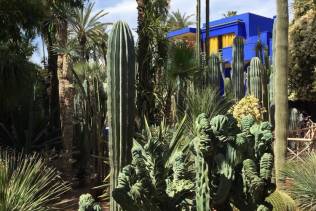 marrakech-giardini majorelle