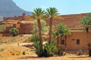 marocco-palme