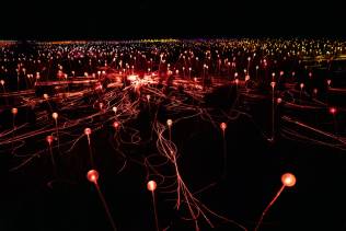 Field of Lights