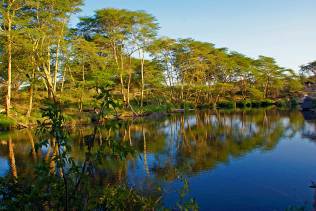 Tsavo Ovest Mzima-Springs