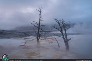 Yellowstone