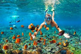 snorkeling alle isole hawaii