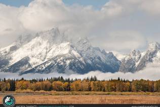 Jackson Hole