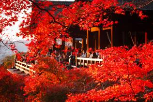 Tempio Kiyomizu-Dera