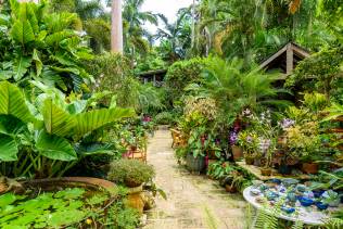 Giardini botanici alle Barbados, Caraibi
