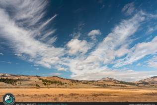 Yellowstone