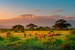 Mount Killimanjaro in Amboseli