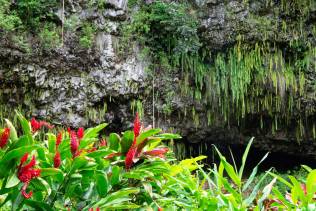 Fern grotto kauai
