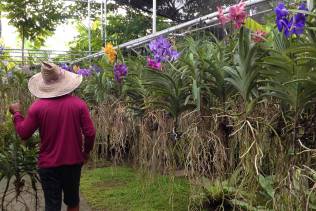 Giardino delle Orchidee