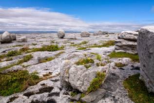 The burren