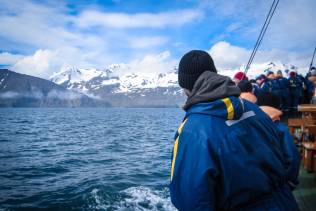 whale watching