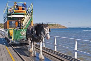 Victor Harbour-Horse tram