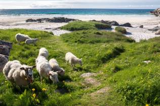 Spiagge Andenes