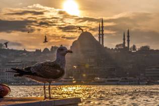 Istanbul Panorama