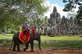 Elefante Siem Reap
