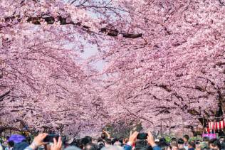 parco-ueno-tokyo