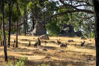 Grampians National Park