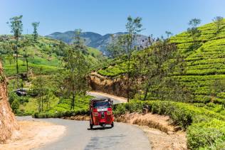 Nuwara Eliya