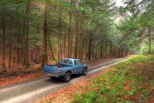 Foresta di Tioga in Pennsylvania